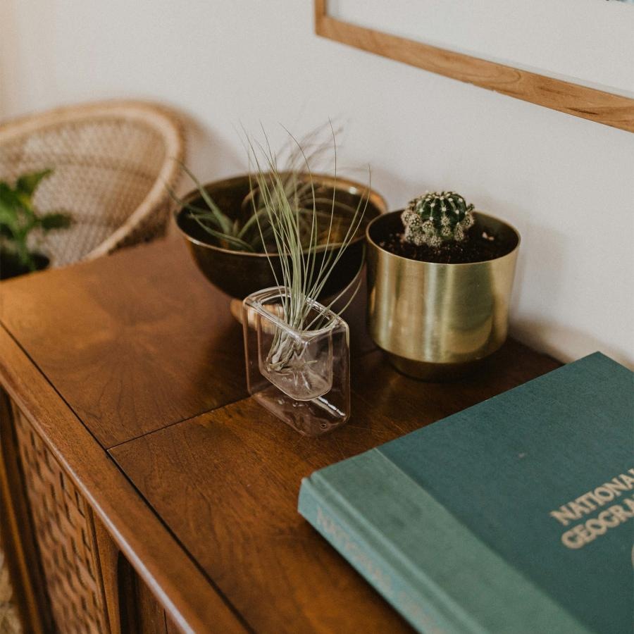 a plant in a pot on a dresser near a book