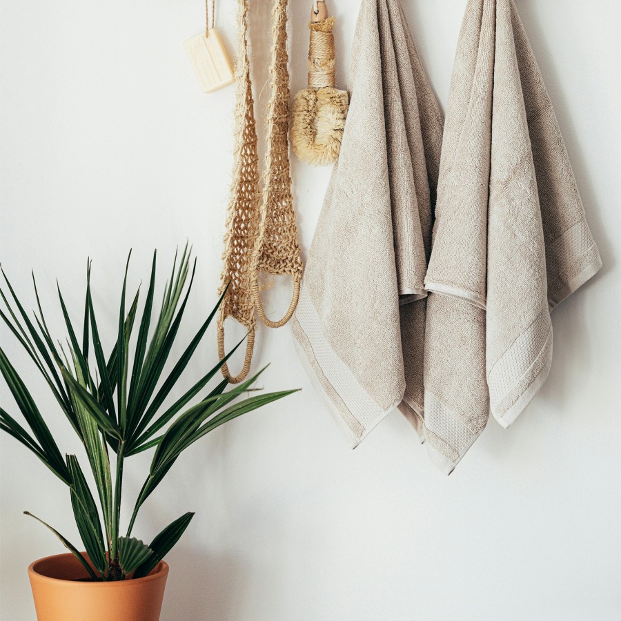 towels hanging on a wall near a plant